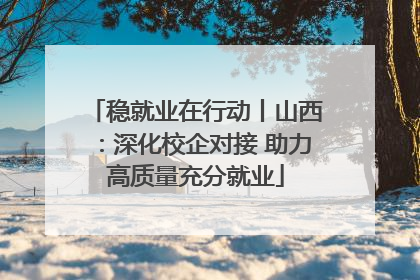 稳就业在行动丨山西：深化校企对接 助力高质量充分就业